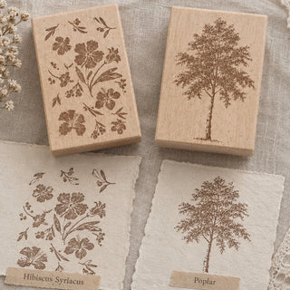 Mo.Card - Stamp - Nature - 1 Piece