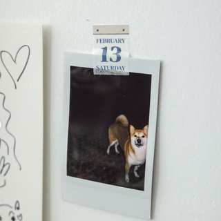 Rolledpaint - 2027 365 Day Calendar - Easy-Tear Washi Tape