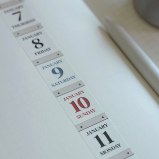Rolledpaint - 2027 365 Day Calendar - Easy-Tear Washi Tape