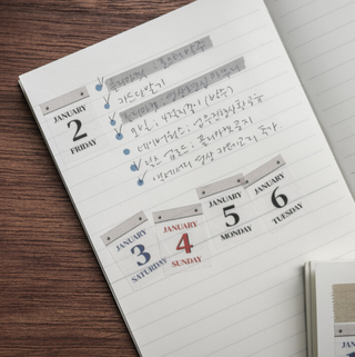 Rolledpaint - 2027 365 Day Calendar - Easy-Tear Washi Tape