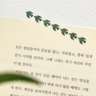 Rolledpaint - Green Bird - Washi Tape